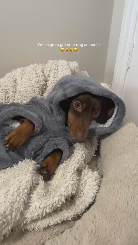 The Origional SnugPup™