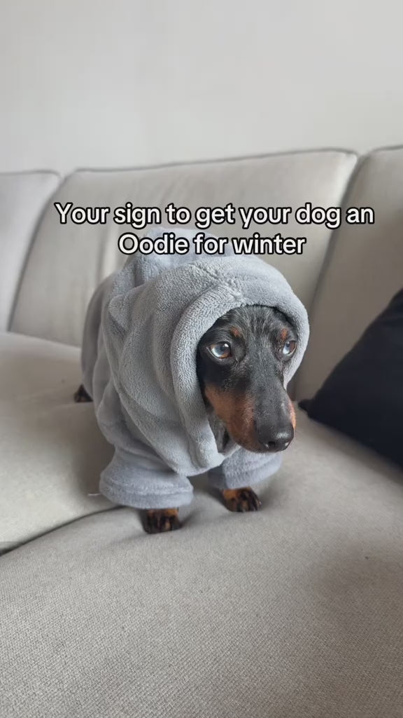 The Origional SnugPup™